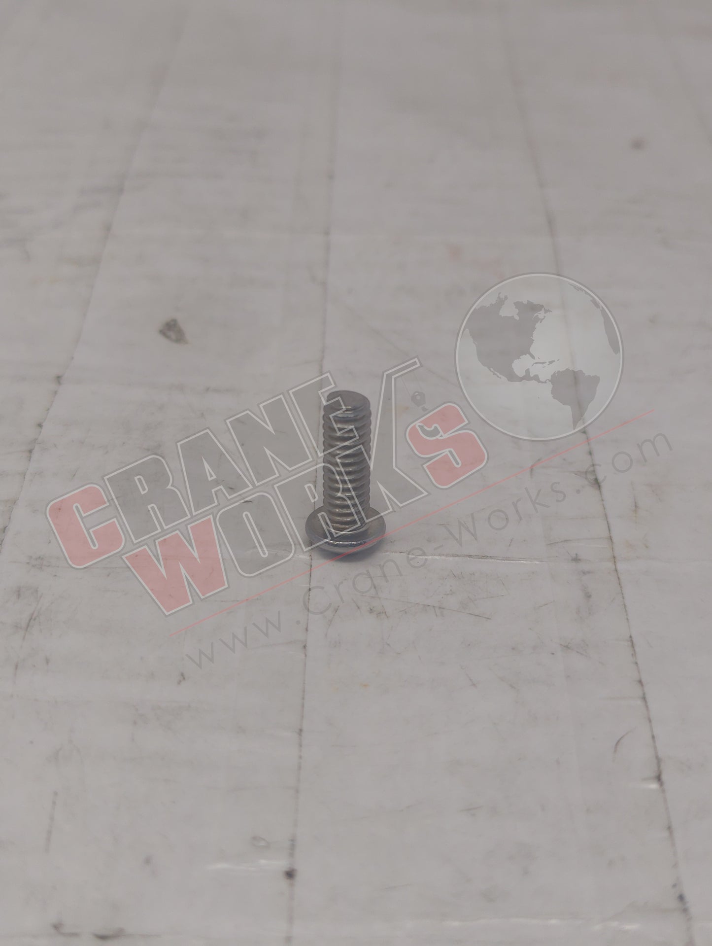 MSC09181850 | New 1/4-20X3/4 S/S Bh Sh Bolt (19072)