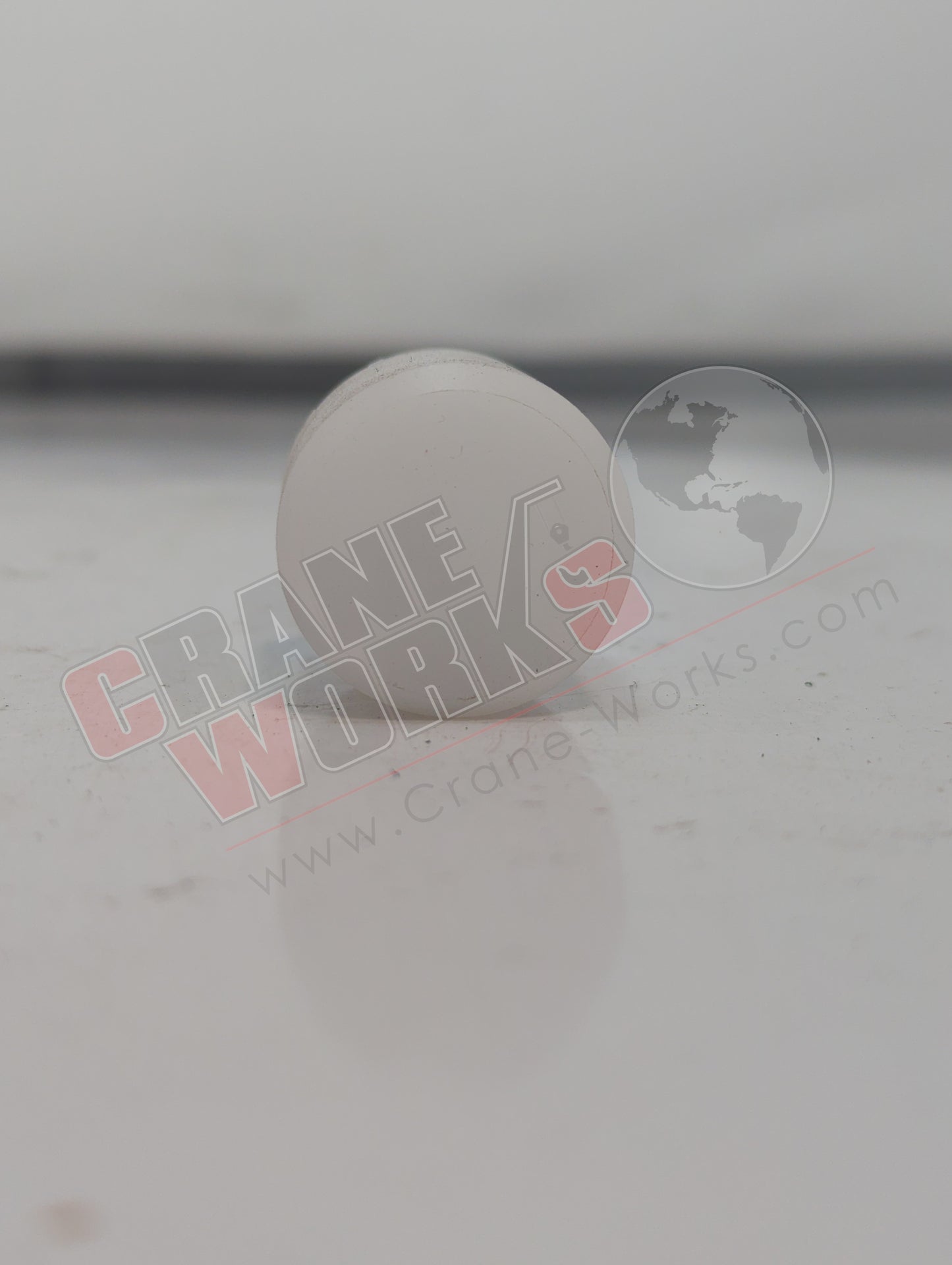 C04070.B | New Teflon Wear Plug