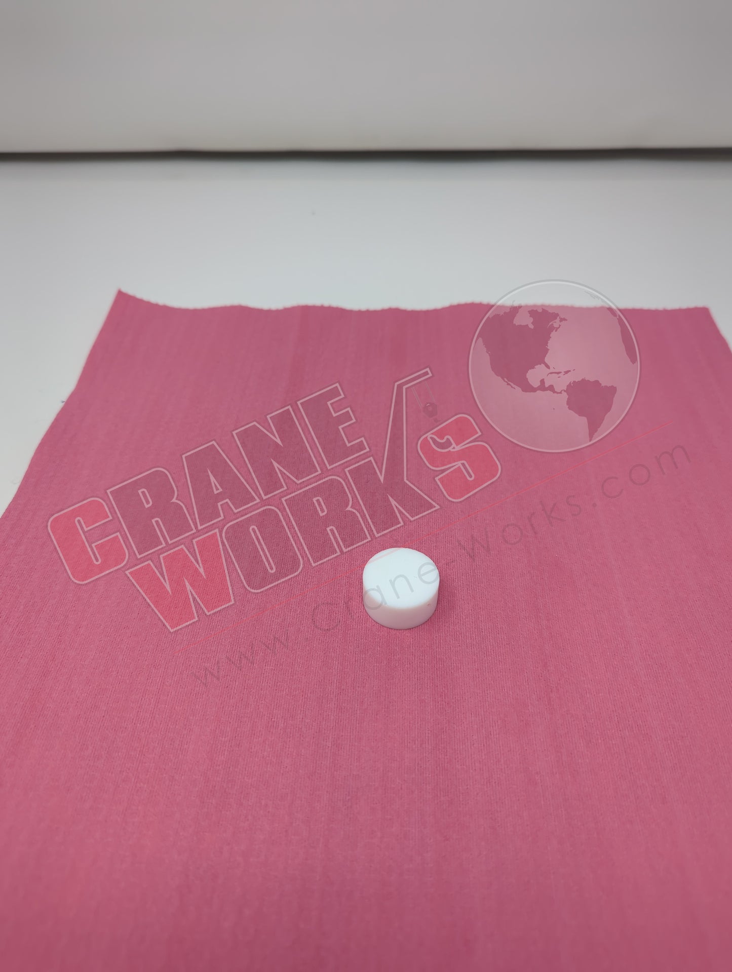 7671100081 | New Plug