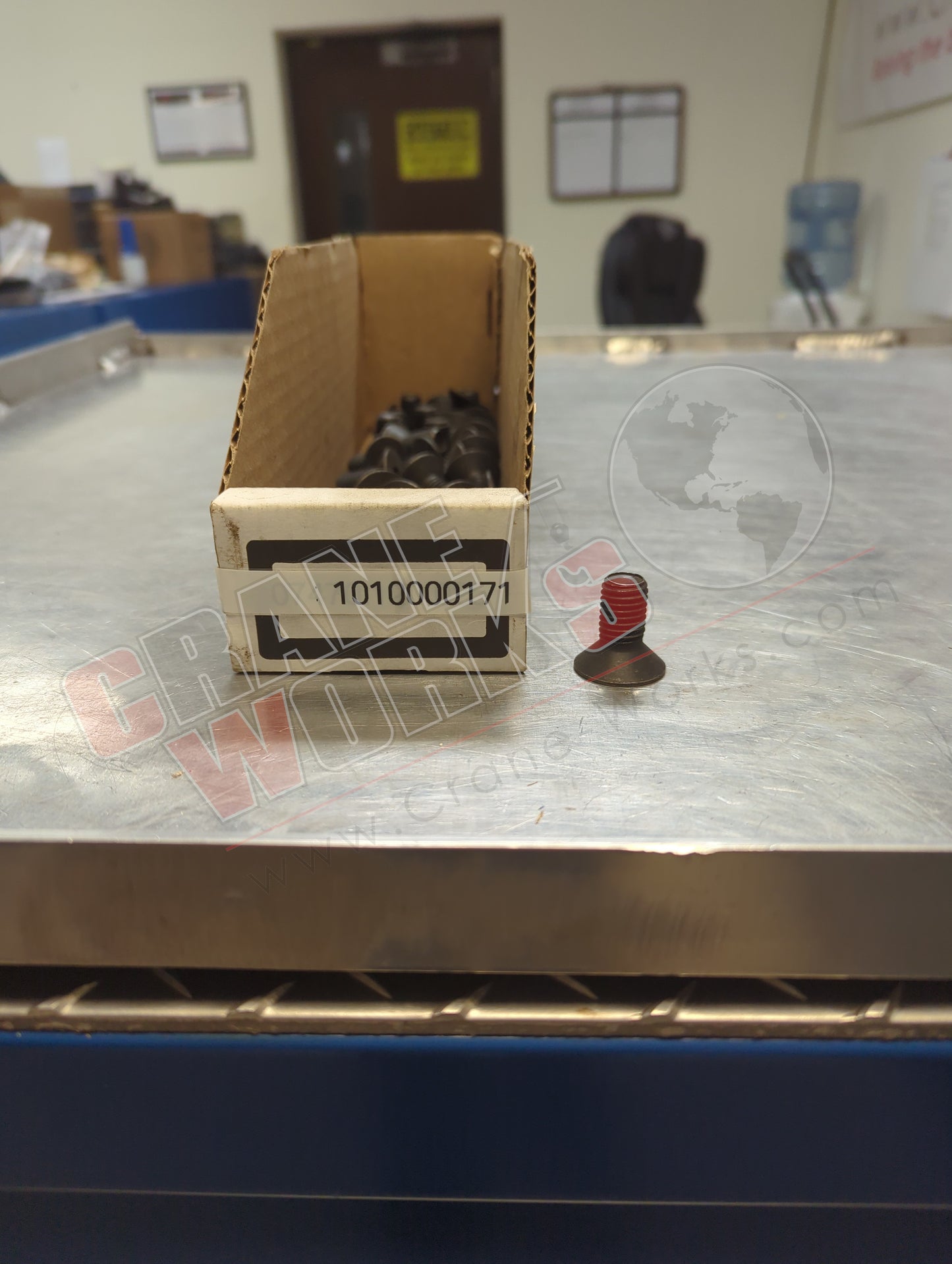 1010000171 | New Screw