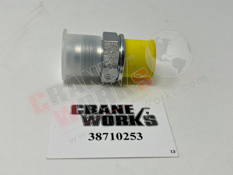 Picture of new stud, fourth angle.