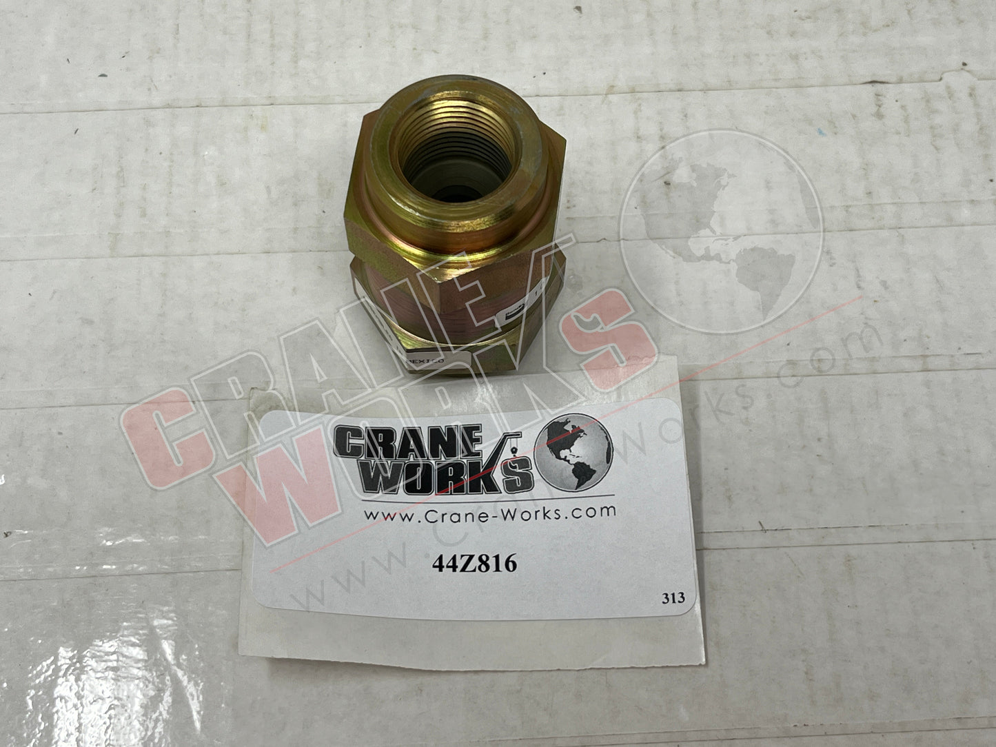 Picture of 44Z816, New Check Valve.