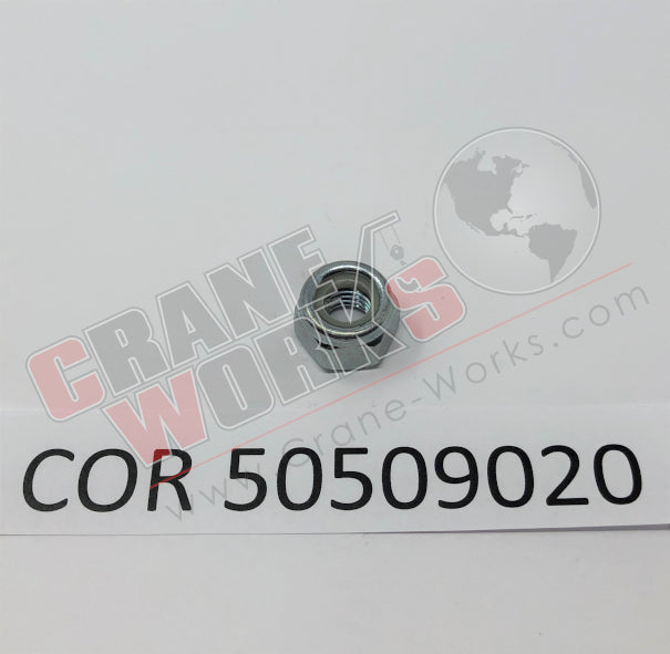 Picture of 50509020 NEW NUT T01