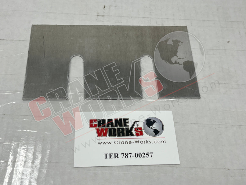 Picture of TER 787-00257 NEW SHIM .100