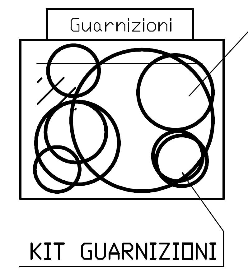 Generic picture of a seal kit taken from a parts catalog drawing.