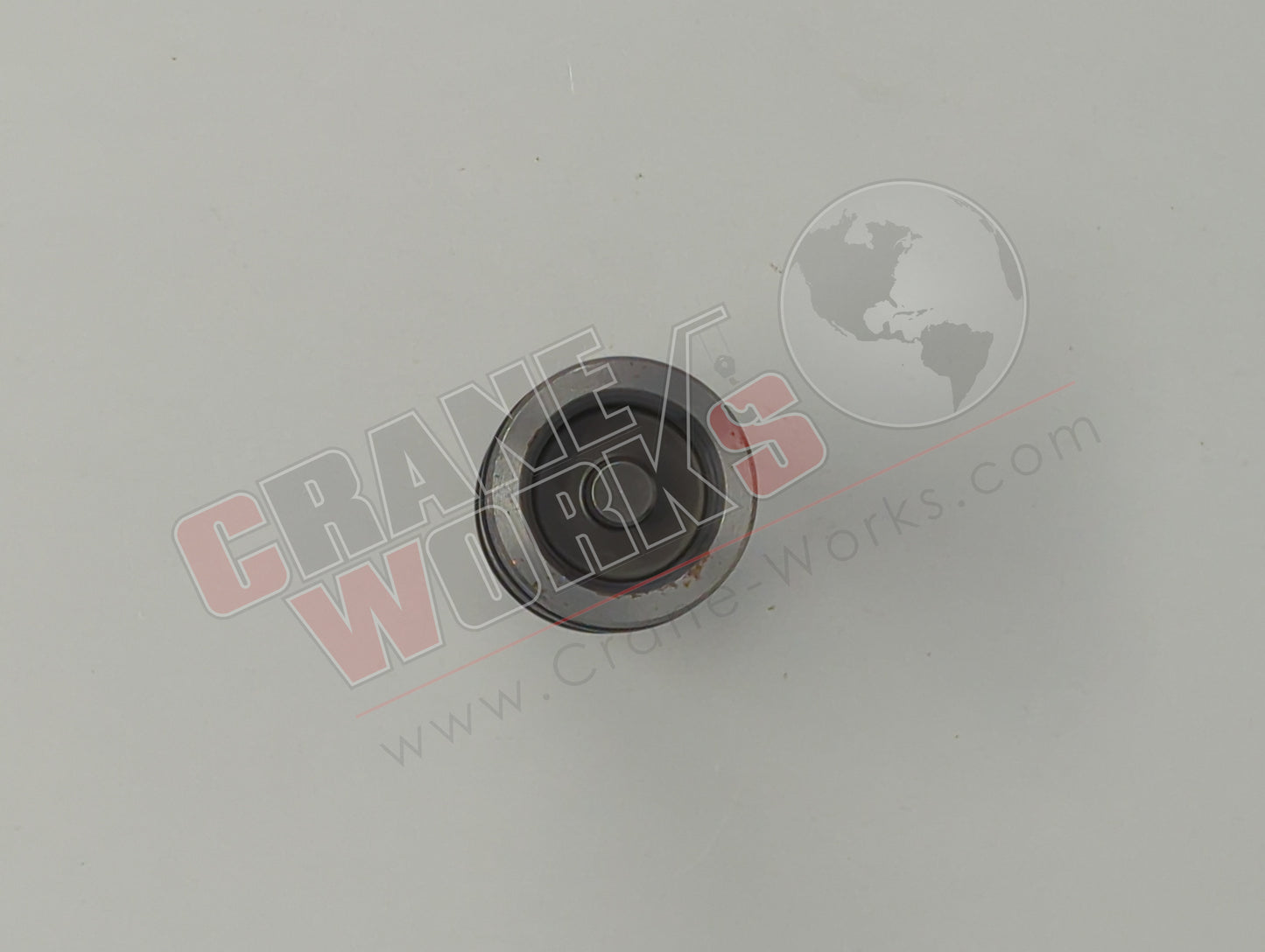 8992894 | New Check Valve