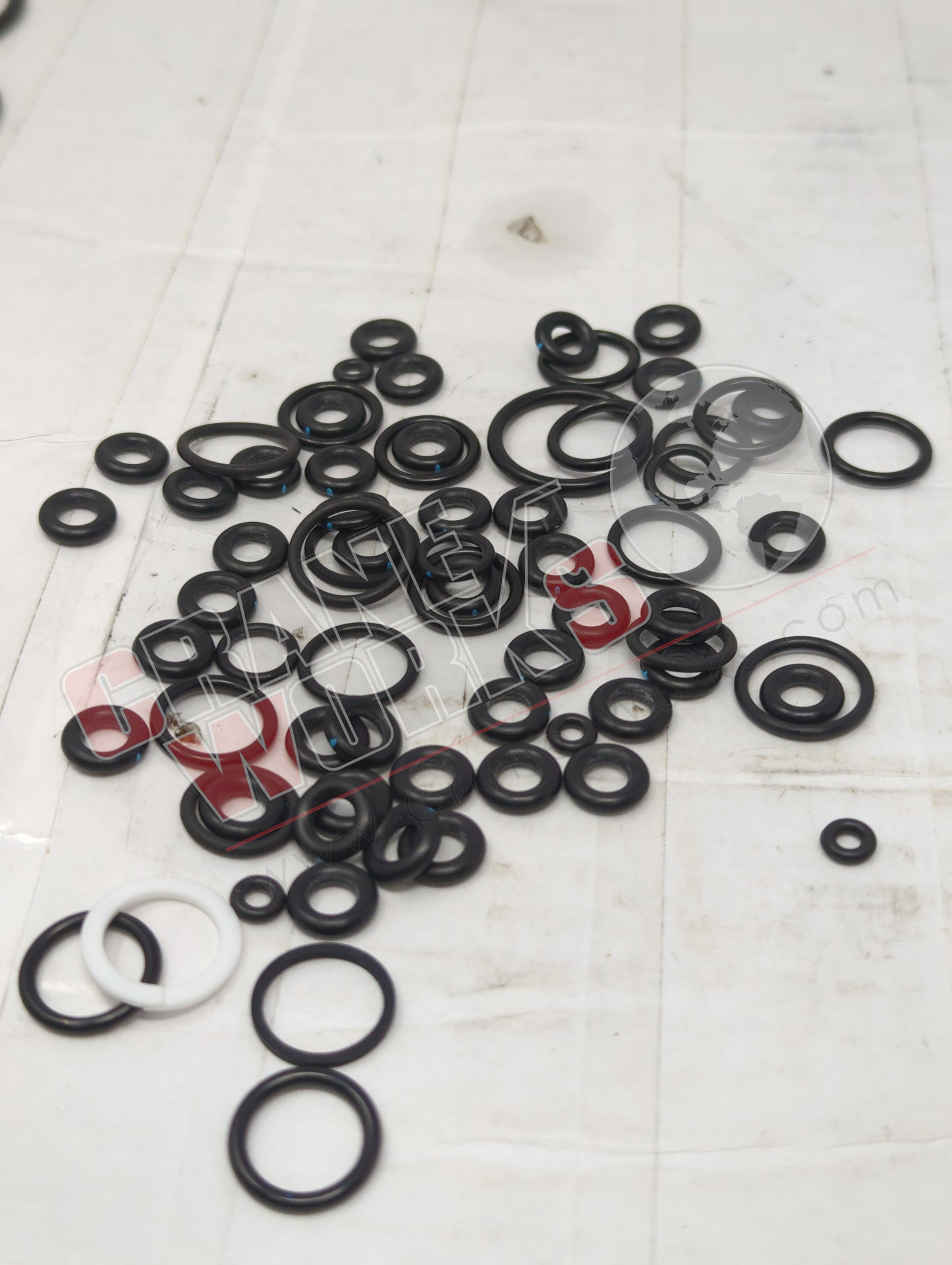 224861 | New Seal Kit