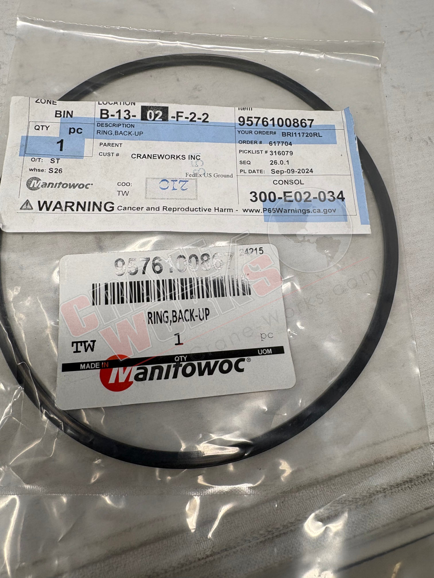Picture of 9576100867, a  New Ring,Back-Up, angle 2.