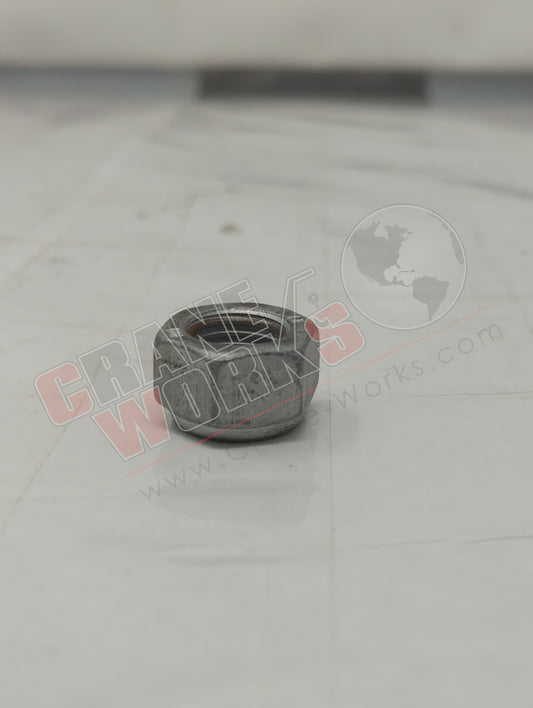 EM 164 | New Nut-Use Tif 70032