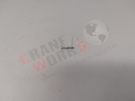 31113 | New Terminal