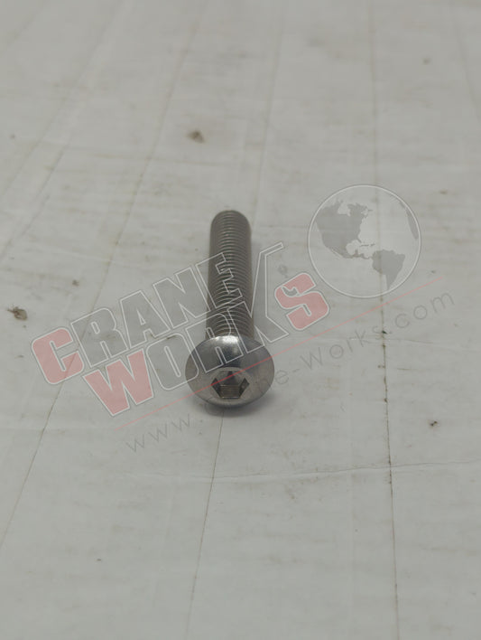 73838 | New 1/2"-13X3 Ss Bolt