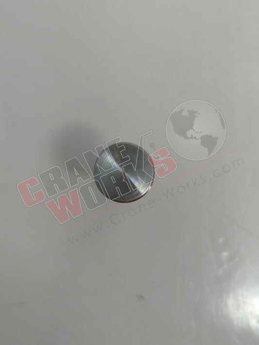 HE4851 | New Pump Piston