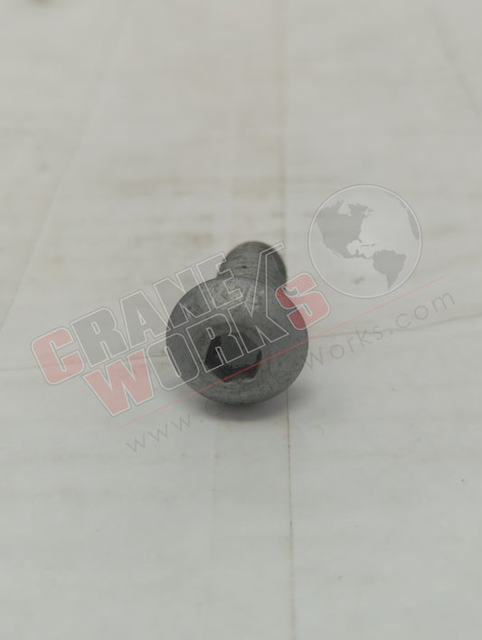 30652 | New 10X25 Screw