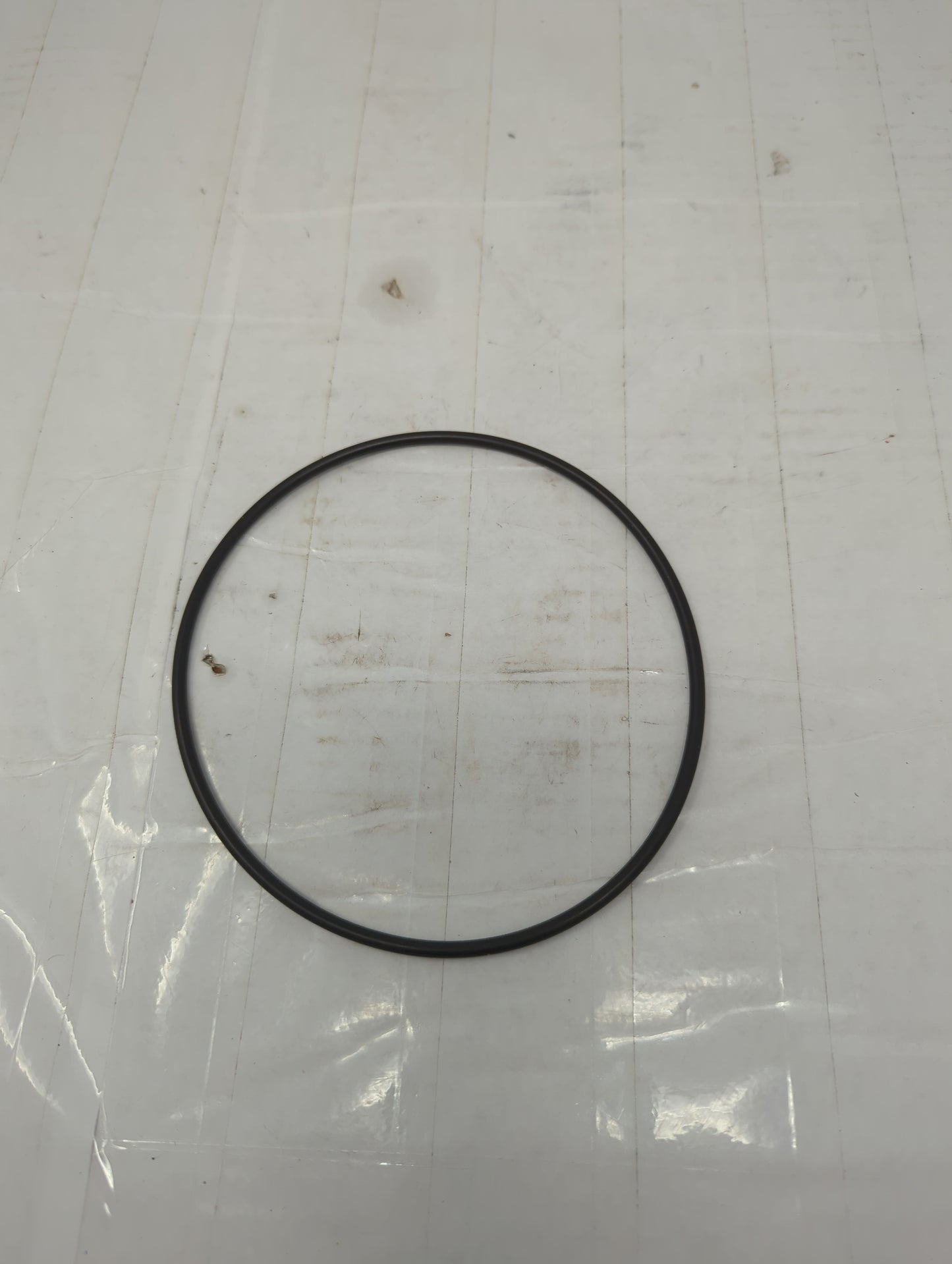 223748 | New O-Ring
