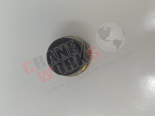2159110197 | New Wear Pad Assy