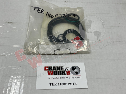 Picture of TER 1100P391F4 NEW SEAL KIT
