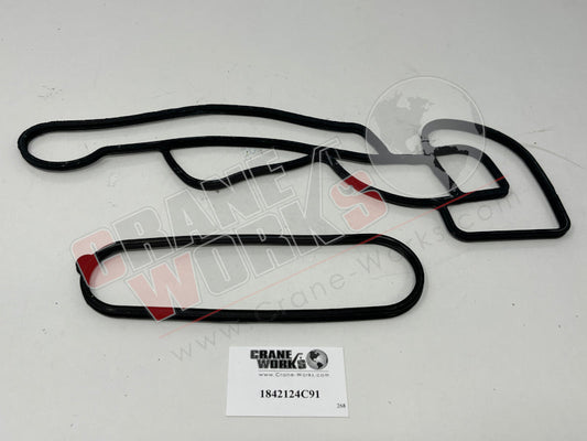 Picture of new oil seal kit.
