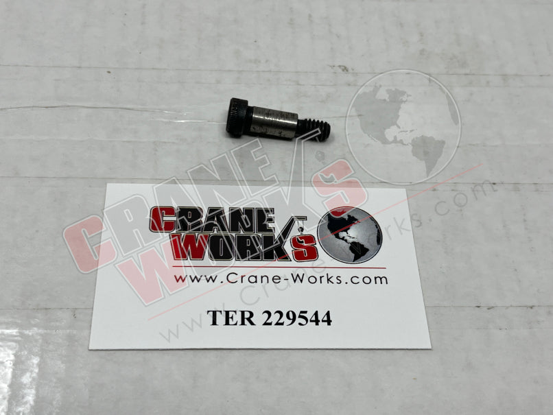 Picture of TER 229544 NEW BOLT