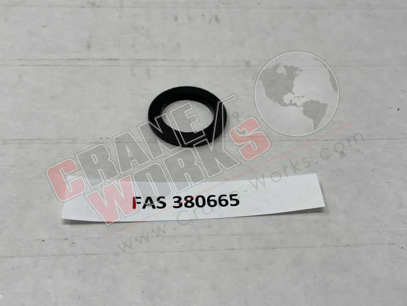 Picture of FAS 380665 NEW WASHER